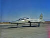 T-38A Talon s/n 59-1604