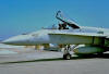 VX-5 Vampires F/A-18A Hornet