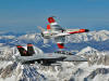 VX-31 Vampires’ Hornets