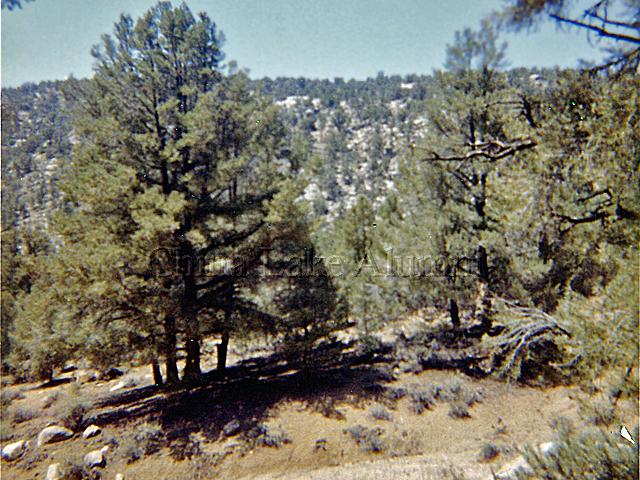 Nine Mile Canyon