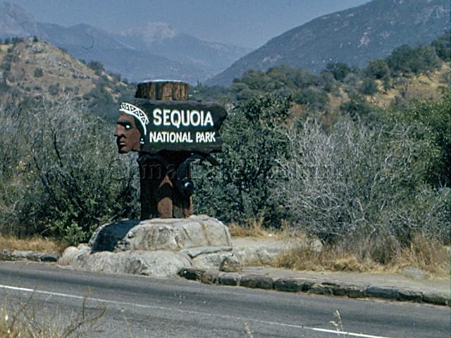 Sequoia National Park, CA